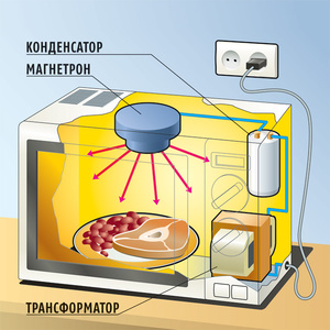 Как пользоваться микроволновкой
