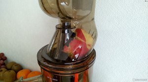 Что такое шнековая соковыжималка